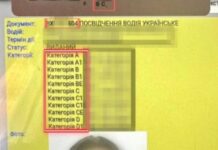 Патрульні Запоріжжя зупинили водія з підробленим посвідченням