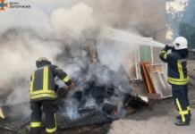 У Запоріжжі через необережне поводження з вогнем зайнялися дрова біля гараж