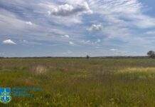 На Дніпропетровщині прокуратура повернула державі землі ландшафтного заказника «Тернівський» вартістю майже 2 млрд грн