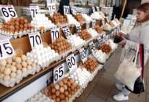 ЄС хоче повернути мита на яйця та цукор з України, – ЗМІ