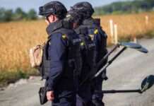 “Тендітні” роботи на дистанційному управлінні: у ДСНС розповіли, як розміновують територію України