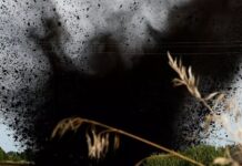 Запорізькі піротехніки ДСНС знищили ворожу авіабомбу