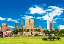 У Парагваї захоплено чотиритонну партію кокаїну