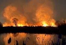 Пожежу в Дарницькому районі столиці ліквідовано – ДСНС