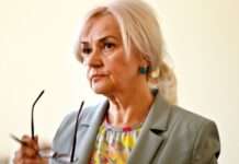 СБУ розглядає версію про причетність спецслужб Росії до вбивства Фаріон