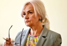 У Дніпрі затримали підозрюваного у вбивстві Ірини Фаріон – Зеленський