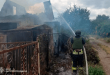 Вогнеборці Нікопольщини загасили пожежу в дачному будинку