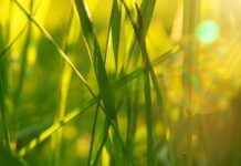 Знову спека: прогноз погоди в Кам’янському на вихідні