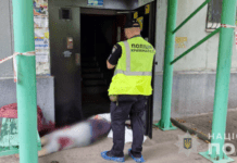 У Запоріжжі 28-річний чоловік вбив власну бабусю: деталі