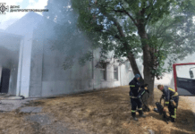 Площа пожежі склала 300 кв.м: надзвичайники Кривого Рогу ліквідували масштабне займання