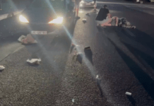 На Космічній у Дніпрі водій Peugeot збив двох пішоходів на переході