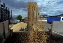 «Надзвичайна Україна»: посол США про експорт понад 56 млн тонн зерна Чорноморським коридором