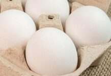 Дієтологи назвали найздоровіший спосіб приготування яєць: що впливає на користь страви