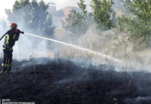 За добу вогнеборці Дніпропетровщини ліквідували 82 пожежі в екосистемах