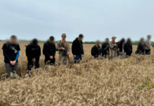 Десятеро ухилянтів за раз: група чоловіків намагалась втекти з України пшеничним полем