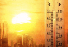 До +40: синоптики прогнозують надзвичайну спеку у Дніпрі та області