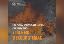За минулу добу рятувальники Запоріжжя ліквідували 7 пожеж в екосистемах
