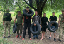 На Закарпатті службовий пес затримав «ухилянтів» за 50 метрів від кордону