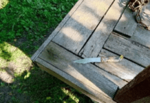 Вдарив дружину ножем у живіт: у П`ятихатках слідчі повідомили про підозру 45-річному чоловіку