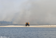 Рятувальники Запоріжжя ліквідували пожежу в плавневій зоні річки Дніпро