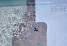 За 30 метрів від українського берега Тиси виявили тіло: подробиці від ДПСУ