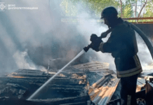 Під час ліквідації пожежі у Криворізькому районі вогнеборці виявили тіла двох людей