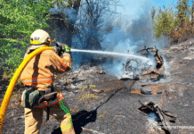 У Синельниківському районі під час руху зайнявся легковик: подробиці