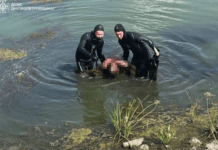 Павлоградський район: під час купання у річці потонув 32-річний чоловік