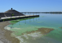 Забруднення та обміління: що відбувається з річками Дніпропетровщини