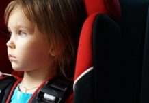 Вимоги до перевезення організованих груп дітей автобусами