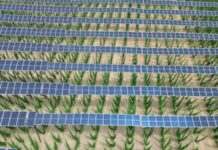 У першому півріччі відновлювана енергетика Німеччини виробила 58% спожитої в країні енергії