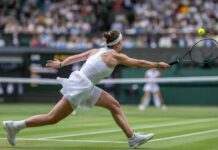 Мільйонів фунтів із хвостиком на всіх. Скільки заробили українці на Вімблдоні-2024