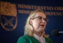 За прикладом Польщі. У Чехії розглядають створення легіону добровольців з українців