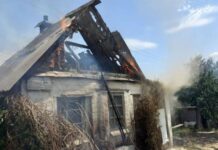 Існувала загроза перекидання полум’я на поруч розташовані будинки: у Запоріжжі зайнявся дачний будинок