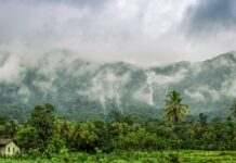 Тропічні дощі можуть зміститись на північ: для яких країн це обернеться катастрофою