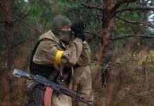 ДПСУ облаштовує додаткові спостережні пости у Харківській області: названо причину