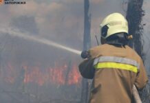 За минулу добу на території Запорізької області рятувальники ліквідували 7 пожеж в екосистемах