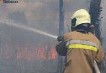 За минулу добу на території Запорізької області рятувальники ліквідували 11 пожеж в екосистемах