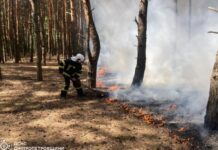 Рятувальники Дніпропетровщини ліквідували 81 пожежу в екосистемах