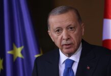 Ердоган перед самітом у Вашингтоні заявив, що НАТО не має стати стороною війни в Україні