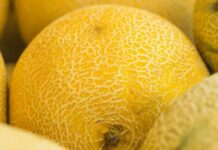 Солодка, як мед: 5 ознак, за якими ви легко визначите стиглу і смачну диню