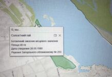 Прокуратура вимагає повернення земель заказника «Солов’їний гай» вартістю понад 236 млн грн