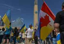 Робота у Канаді: які вакансії доступні українцям та скільки можна заробляти