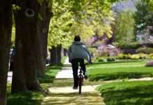 Вимоги як для водіїв. Як можуть покарати велосипедиста за наїзд на пішохода