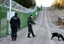 Фінляндія зможе висилати мігрантів, які перетинають її кордон з Росією