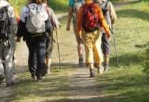 Скільки кроків потрібно проходити за день дорослій людині: оптимальна кількість