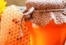 Медовий Спас 2024: коли за новим календарем відзначатимемо Маковія