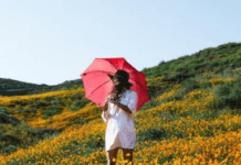 Якою буде погода в останній місяць літа: Укргідрометцентр дав прогноз на серпень