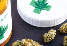 В Україні запрацює електронна система регулювання обігу медичного канабісу