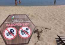 На двох пляжах Дніпра виявили холероподібний вібріон